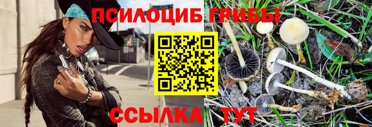Арзамас  Псилоцибиновые грибы Psilocybe  где можно купить наркотик  Вход с VPN  Псилоцибиновые грибы мицелий 