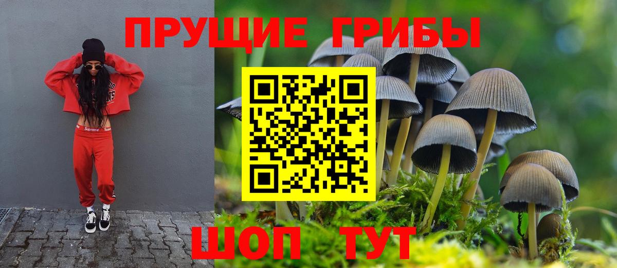 Галлюциногенные грибы мицелий Арзамас